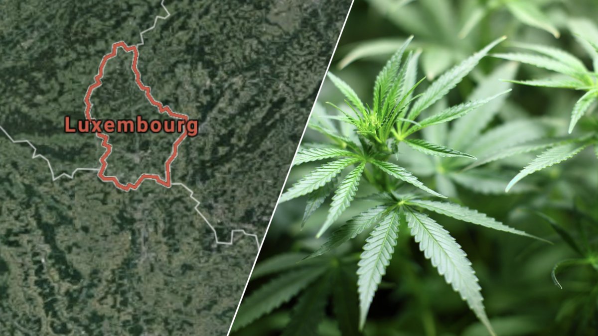 Cannabis-användning blir lagligt i Luxemburg.